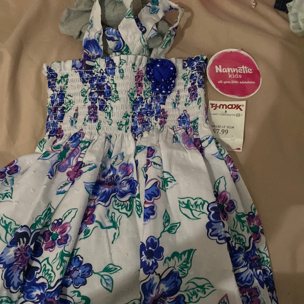 The brand of the dress is from T.J.Maxx.The design is blue flowers.